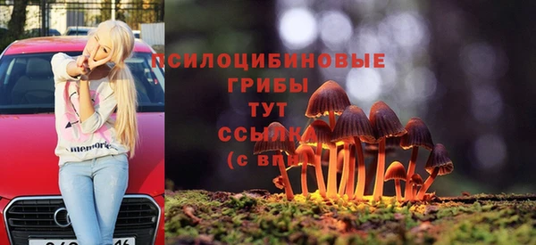 марки lsd Белокуриха