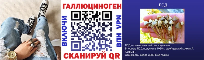 Псилоцибиновые грибы Magic Shrooms kraken как войти Щигры