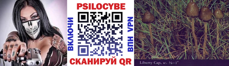 Галлюциногенные грибы Psilocybe Щигры
